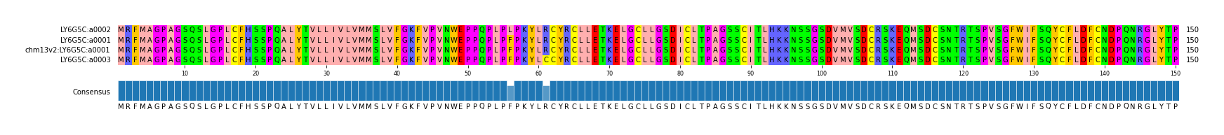 Multiple Alignments (by translate haplotype similarity)