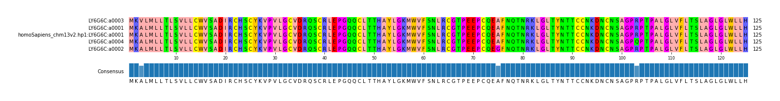 Multiple Alignments (by translate haplotype similarity)