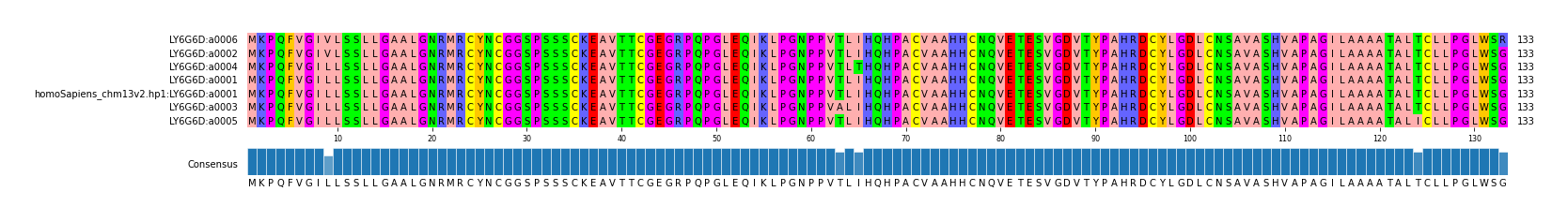 Multiple Alignments (by translate haplotype similarity)