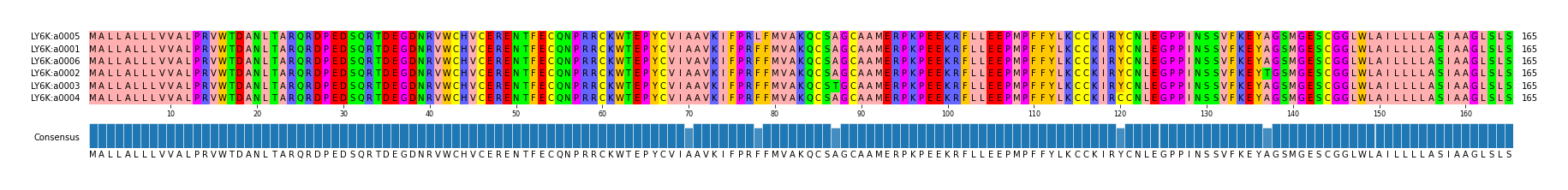 Multiple Alignments (by translate haplotype similarity)