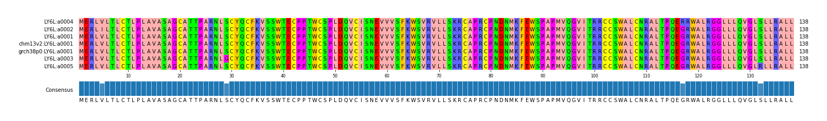 Multiple Alignments (by translate haplotype similarity)