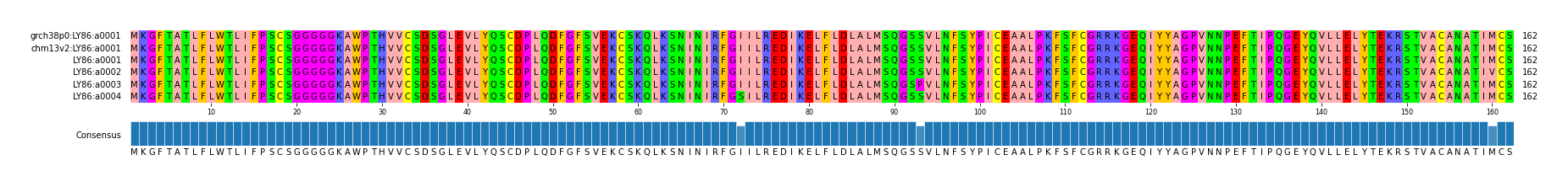Multiple Alignments (by translate haplotype frequency)