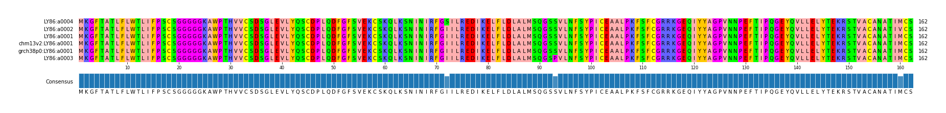 Multiple Alignments (by translate haplotype similarity)