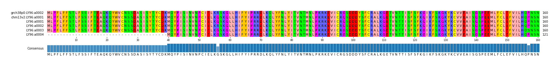 Multiple Alignments (by translate haplotype frequency)