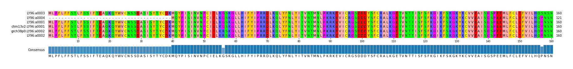 Multiple Alignments (by translate haplotype similarity)