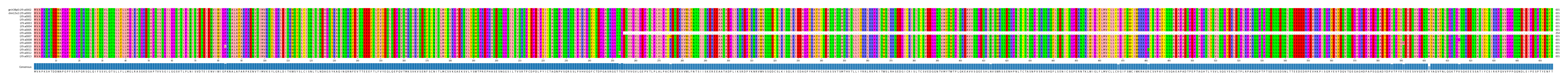 Multiple Alignments (by translate haplotype frequency)