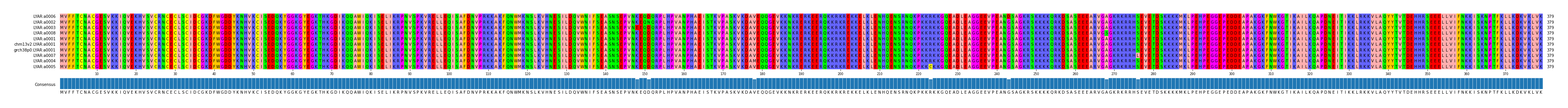 Multiple Alignments (by translate haplotype similarity)
