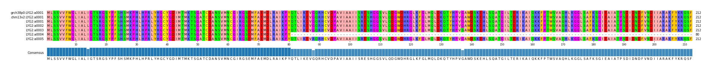 Multiple Alignments (by translate haplotype frequency)