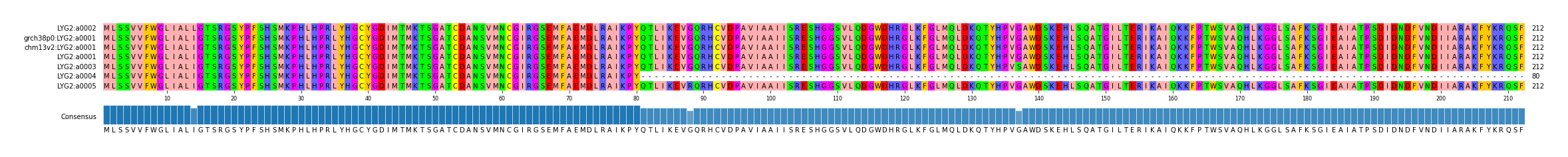 Multiple Alignments (by translate haplotype similarity)