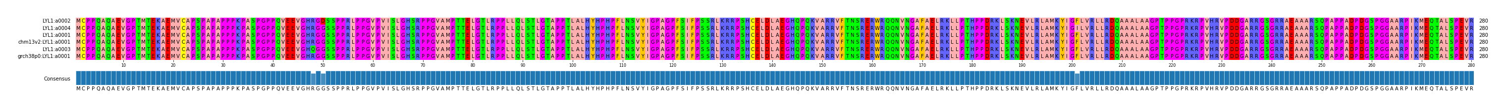 Multiple Alignments (by translate haplotype similarity)