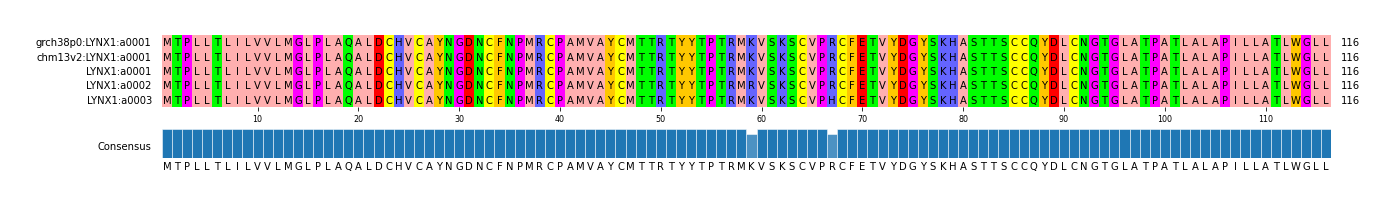 Multiple Alignments (by translate haplotype frequency)
