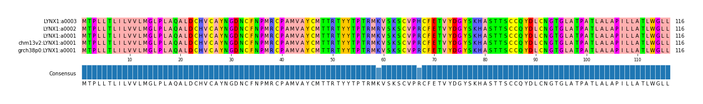 Multiple Alignments (by translate haplotype similarity)