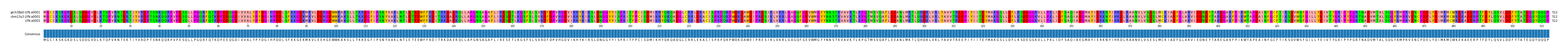 Multiple Alignments (by translate haplotype similarity)