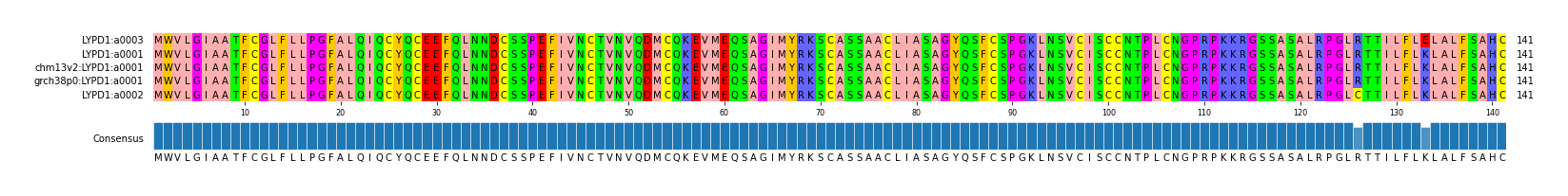 Multiple Alignments (by translate haplotype similarity)