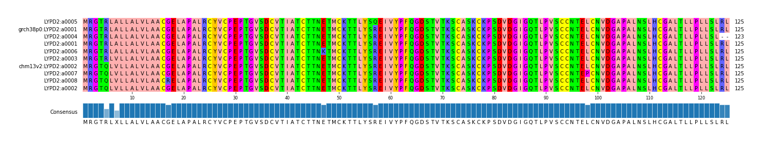 Multiple Alignments (by translate haplotype similarity)