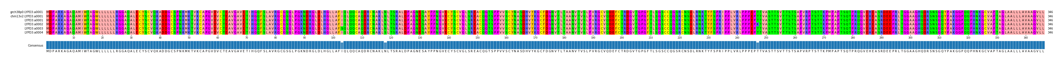 Multiple Alignments (by translate haplotype frequency)