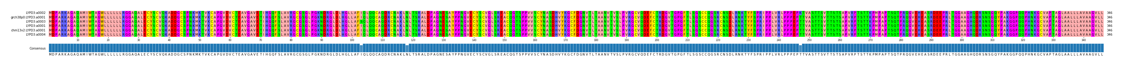 Multiple Alignments (by translate haplotype similarity)