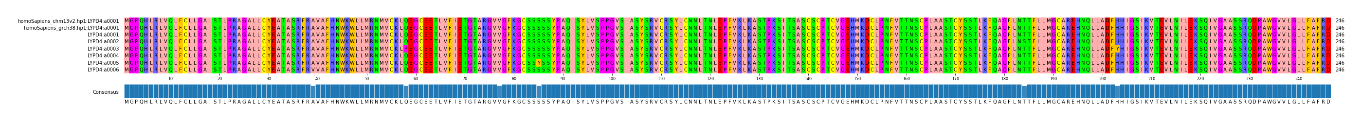 Multiple Alignments (by translate haplotype frequency)