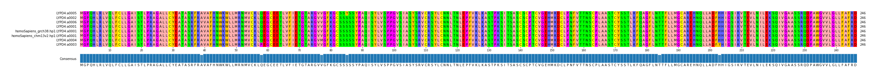 Multiple Alignments (by translate haplotype similarity)