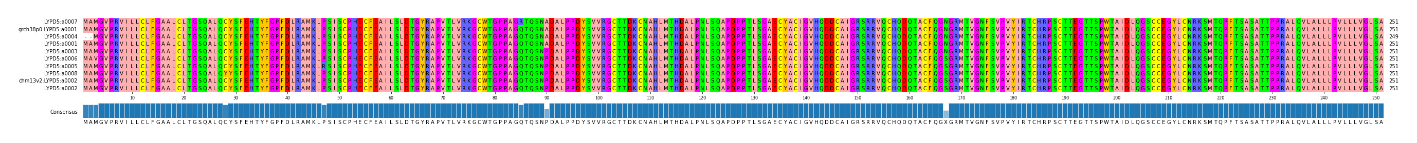 Multiple Alignments (by translate haplotype similarity)