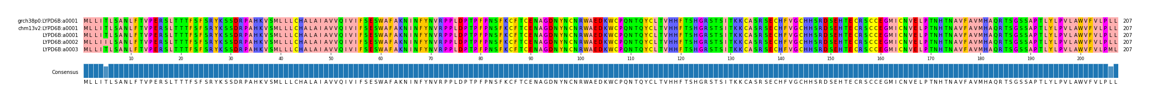 Multiple Alignments (by translate haplotype frequency)