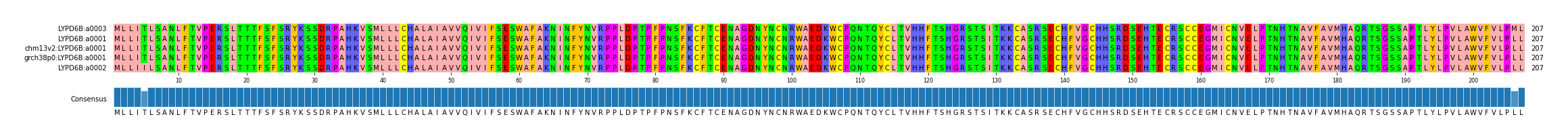 Multiple Alignments (by translate haplotype similarity)