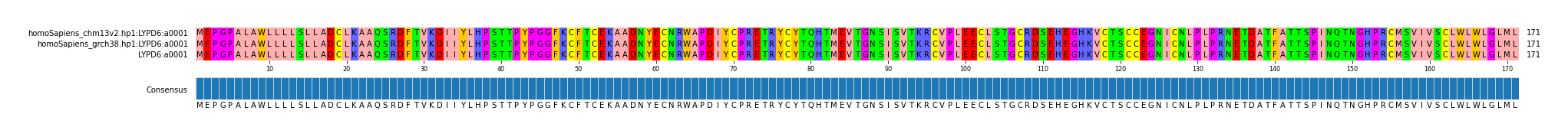 Multiple Alignments (by translate haplotype frequency)
