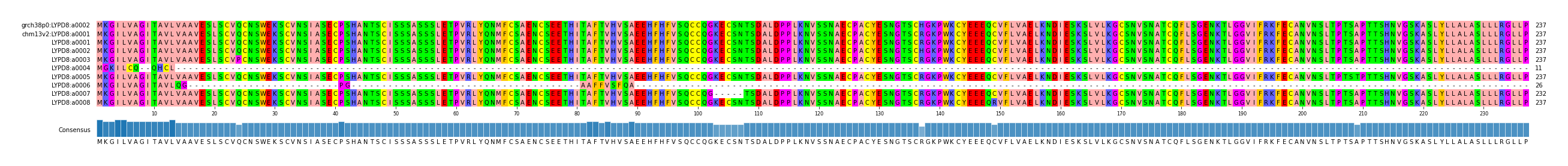 Multiple Alignments (by translate haplotype frequency)