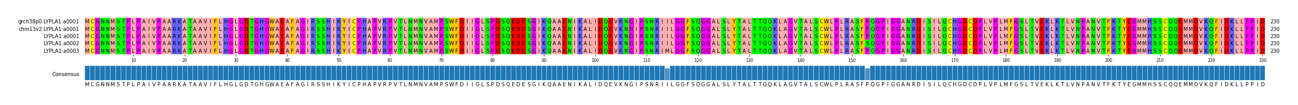 Multiple Alignments (by translate haplotype frequency)