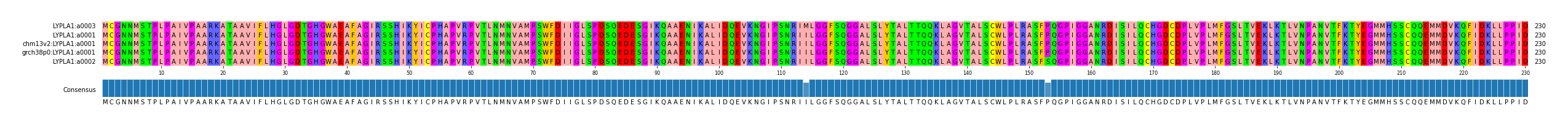 Multiple Alignments (by translate haplotype similarity)
