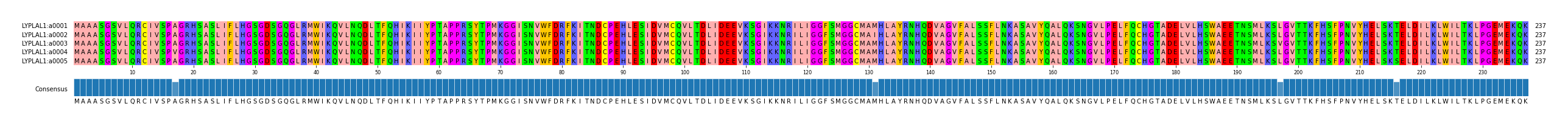 Multiple Alignments (by translate haplotype frequency)