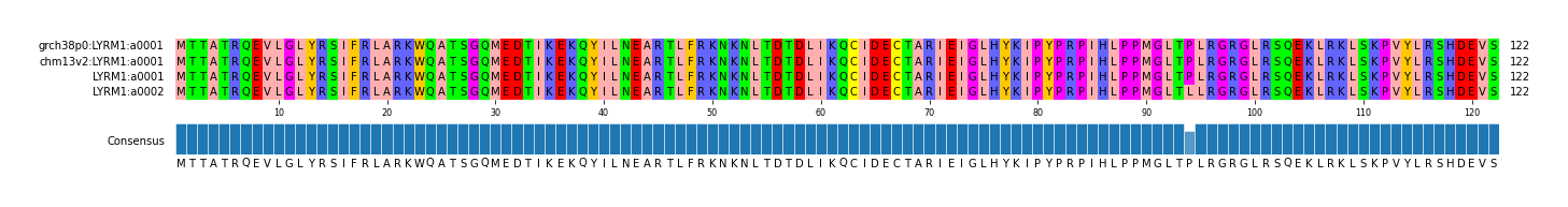 Multiple Alignments (by translate haplotype similarity)