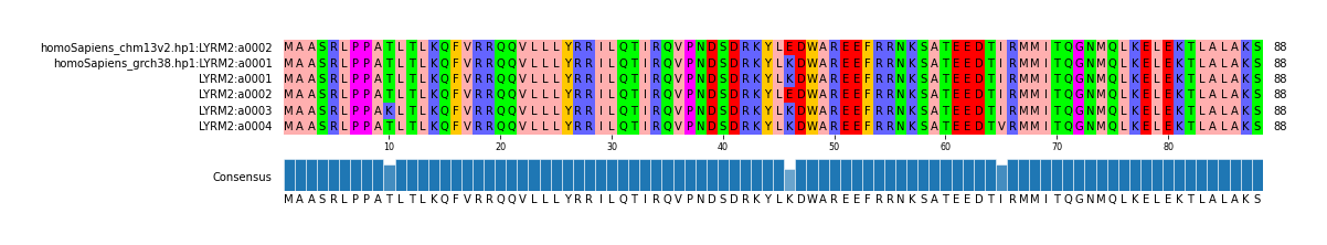 Multiple Alignments (by translate haplotype frequency)