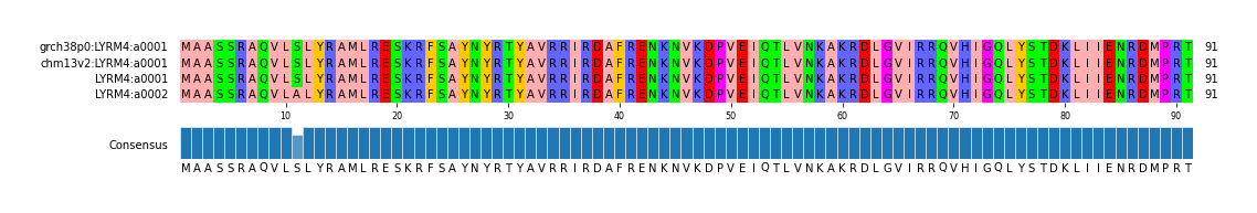 Multiple Alignments (by translate haplotype similarity)