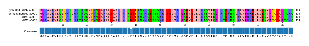 Multiple Alignments (by translate haplotype similarity)