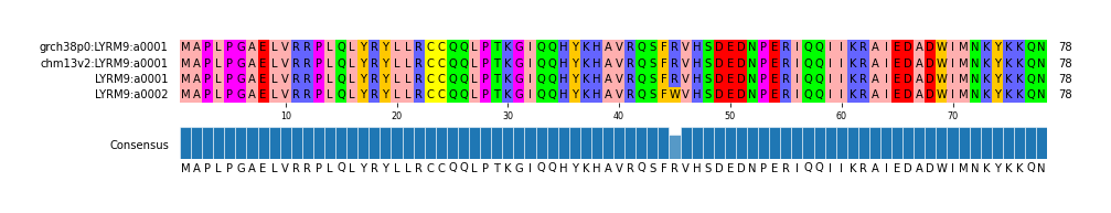 Multiple Alignments (by translate haplotype similarity)