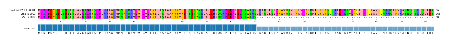 Multiple Alignments (by translate haplotype similarity)
