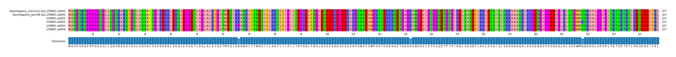 Multiple Alignments (by translate haplotype frequency)