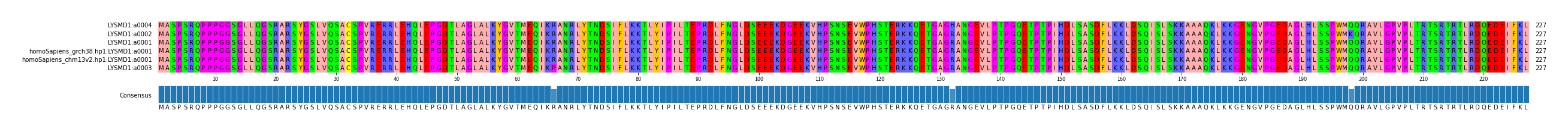Multiple Alignments (by translate haplotype similarity)