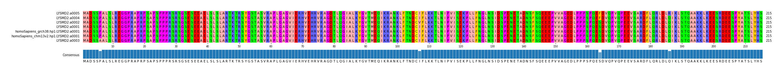 Multiple Alignments (by translate haplotype similarity)