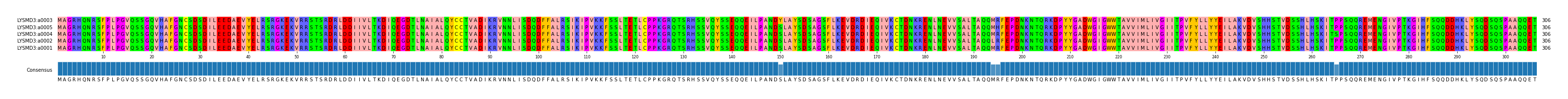 Multiple Alignments (by translate haplotype similarity)