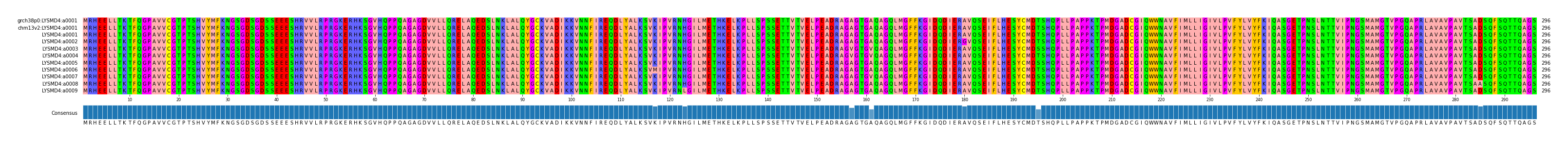 Multiple Alignments (by translate haplotype frequency)