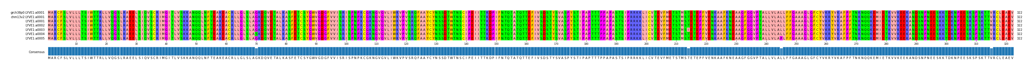 Multiple Alignments (by translate haplotype frequency)