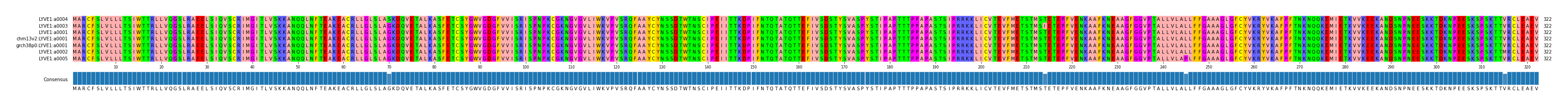 Multiple Alignments (by translate haplotype similarity)