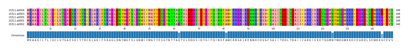 Multiple Alignments (by translate haplotype similarity)