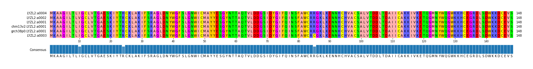Multiple Alignments (by translate haplotype similarity)