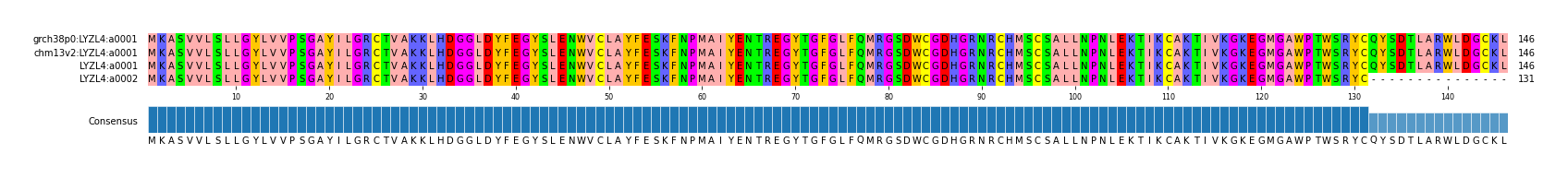 Multiple Alignments (by translate haplotype similarity)