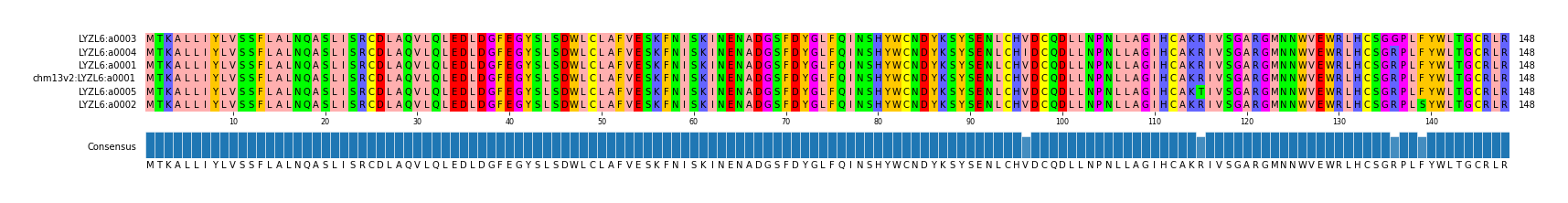 Multiple Alignments (by translate haplotype similarity)