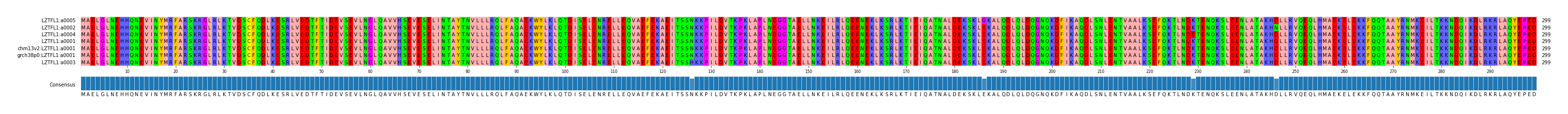Multiple Alignments (by translate haplotype similarity)