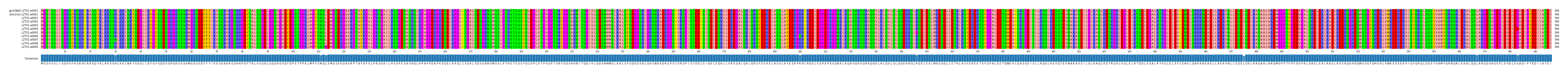 Multiple Alignments (by translate haplotype frequency)